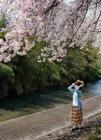 春をみつめる1