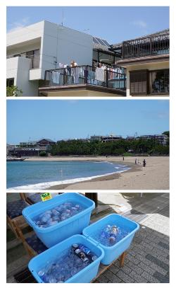 夏1