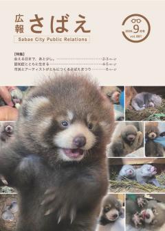 広報さばえ8月号