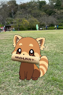 サムネイル画像