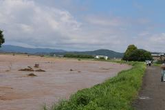 記録的大雨で日野川氾濫危険水域超過
