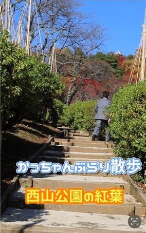 ショート動画画像
