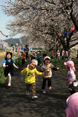 準特選「満開の園児」の写真