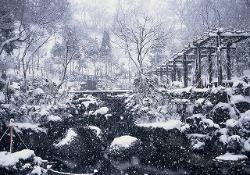 雪の北庭園