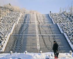 新雪の朝