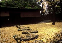 特選「晩秋の頃」