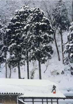 準特選「大雪の日」