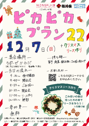 ピカピカプラン22のチラシ