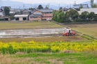 石田橋周辺9