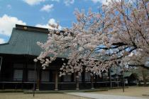 本山誠照寺