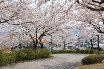 西山公園写真