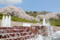 西山公園写真