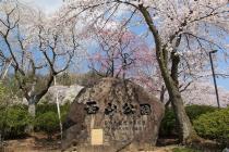 西山公園写真