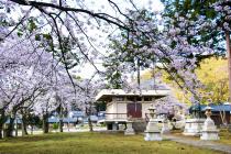 白山神社の写真