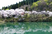 大谷公園の溜池の写真