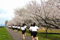 東陽中学校の写真