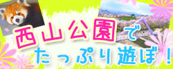 西山公園でたっぷり遊ぼ！