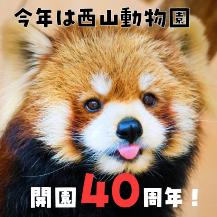 西山動物園開園40年