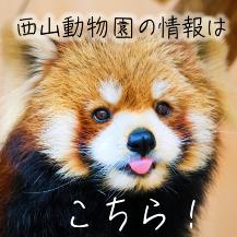 西山動物園情報