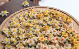 和菓子 あんこ 花 漆器