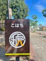 琥八