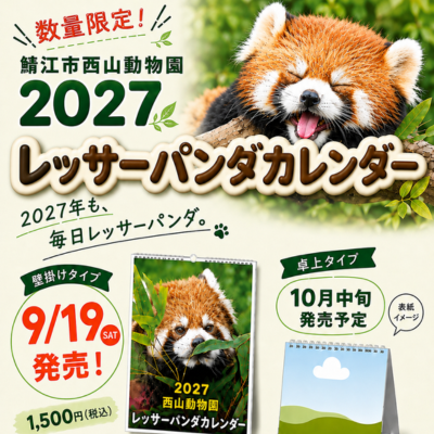 レッサーパンダ　カレンダー　西山動物園