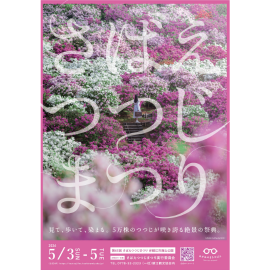 さばえつつじまつり