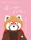 会いにい行くさばえ。