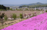 大谷公園（実のなる公園）