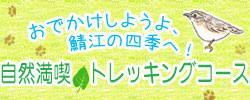 【特集】自然満喫　トレッキングコース