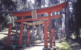 中野神社