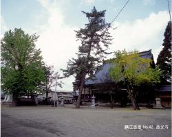 西光寺（杉本町）の写真