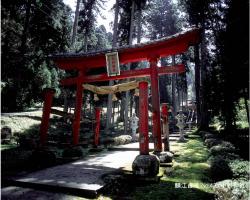 中野神社の写真