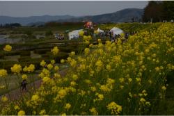 日野川緑地の写真