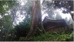 加多志波神社の社叢の写真