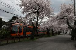 神明町（参道線）の写真