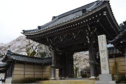 仰明寺（和田町）の写真