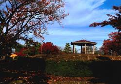 秋の神中公園の写真