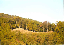 今北山古墳群