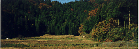 中山間地域等