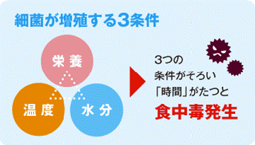 細菌が増殖する3条件