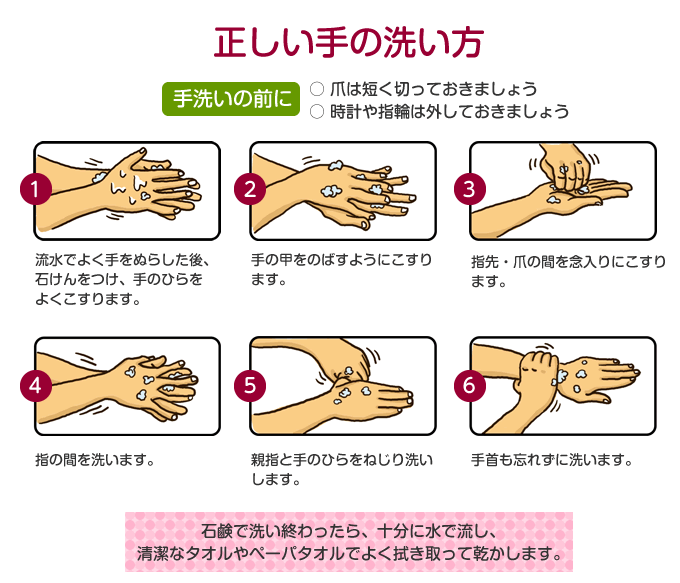 正しい手洗い