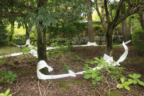 山口&nbsp;康二郎　作品写真