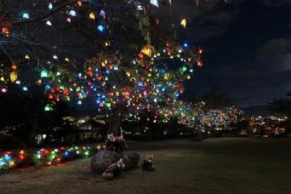 髙橋&nbsp;匡太 作品写真