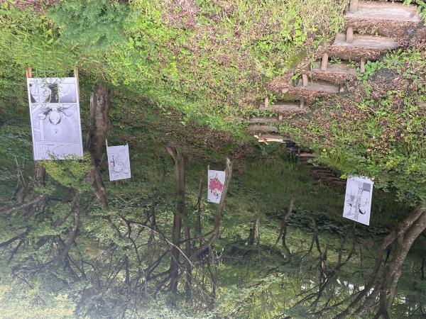 三原和人 作品写真