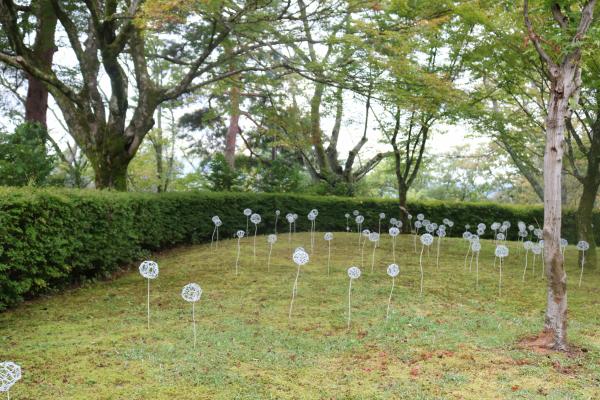志村 陽子_作品写真