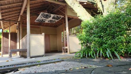 『つつじに恋した登り鯉2』