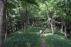 神明山古墳