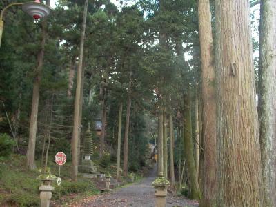 加多志波神社の社叢