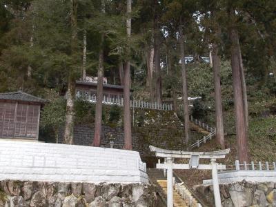 敷山神社の社叢
